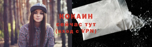 дживик Богородицк