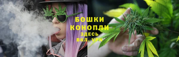 дживик Богородицк