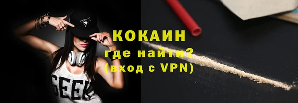 дживик Богородицк