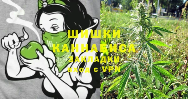 дживик Богородицк