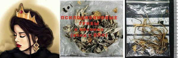 дживик Богородицк